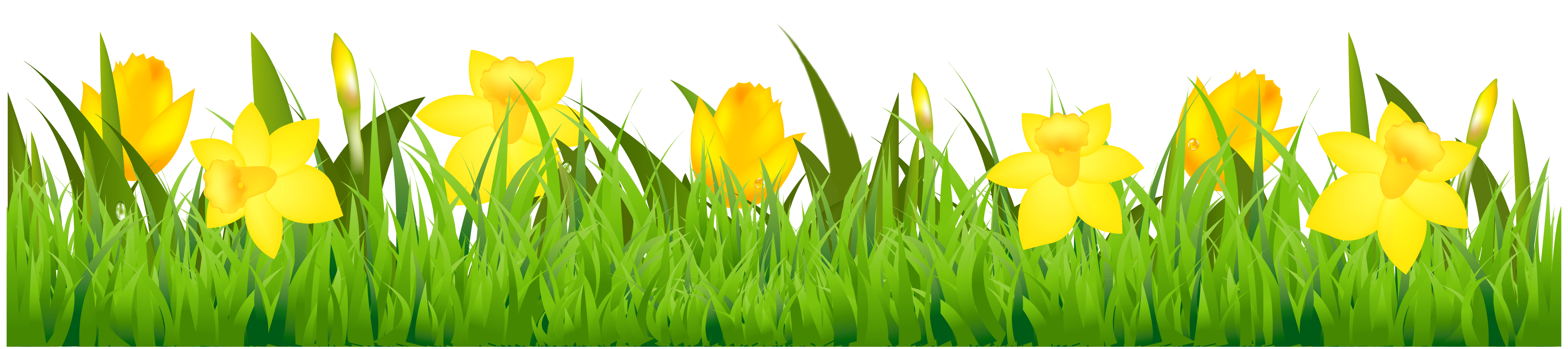 daffodil flower clip art free - photo #42